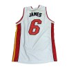 Adidas LeBron James Miami Heat #6