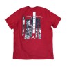 Air Jordan GFX Jumpman Flight